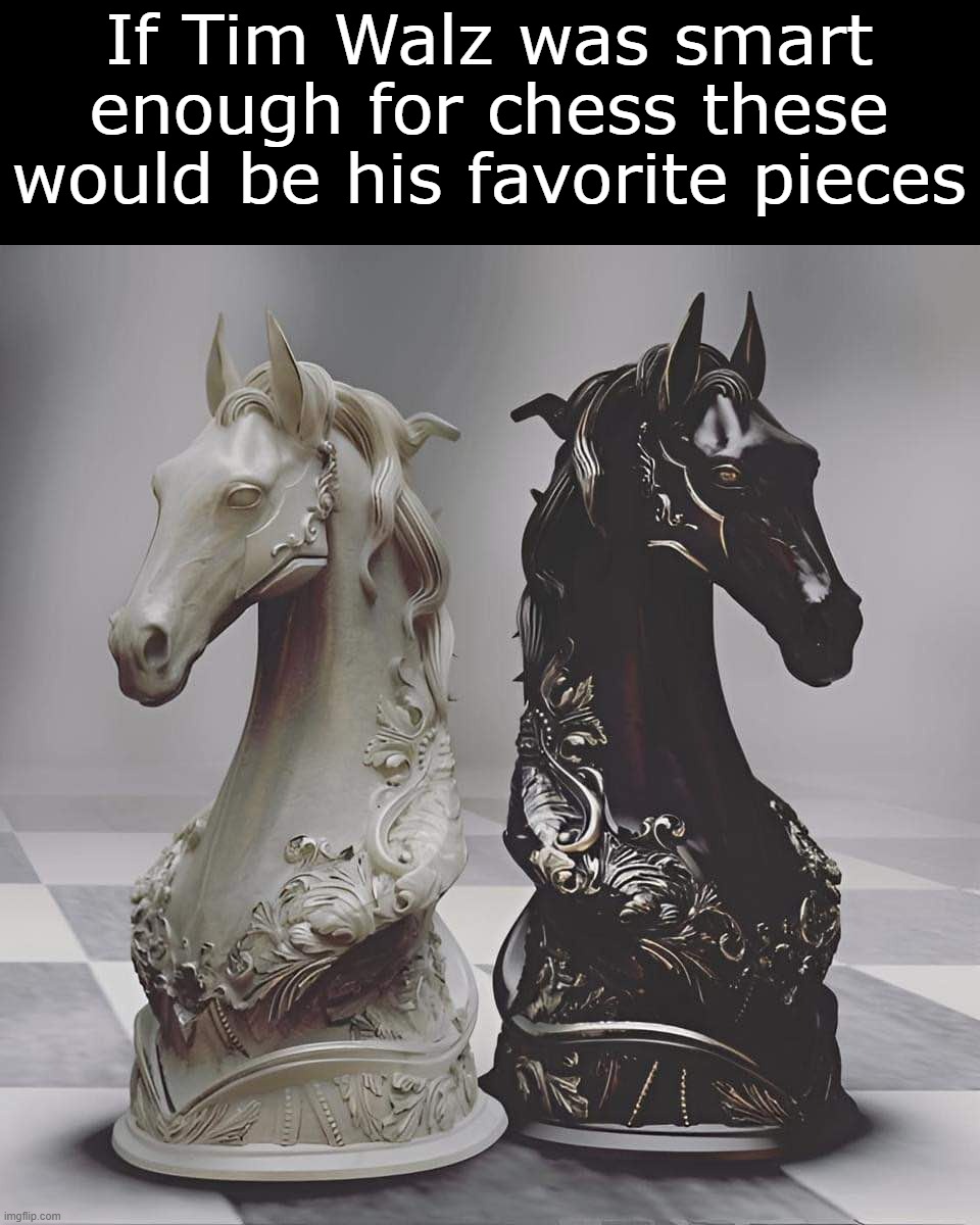 Tim does like the horses | If Tim Walz was smart enough for chess these would be his favorite pieces | image tagged in tim walz,horses | made w/ Imgflip meme maker