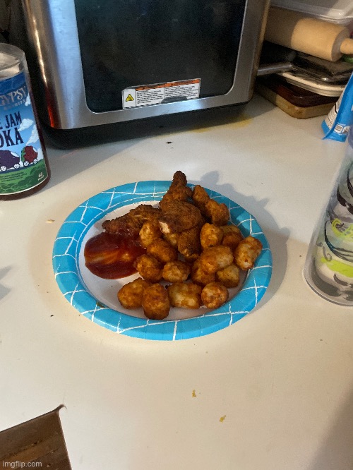 The dino nuggies!!?!? | image tagged in dino nuggies | made w/ Imgflip meme maker