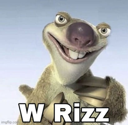 w rizz | image tagged in w rizz | made w/ Imgflip meme maker