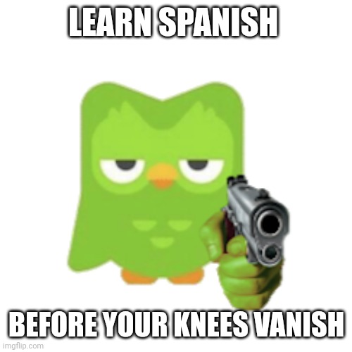 Duolingo | LEARN SPANISH BEFORE YOUR KNEES VANISH | image tagged in duolingo | made w/ Imgflip meme maker