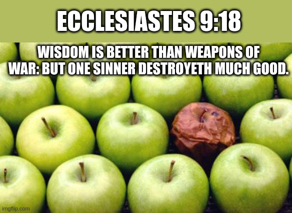 bible | ECCLESIASTES 9:18; WISDOM IS BETTER THAN WEAPONS OF WAR: BUT ONE SINNER DESTROYETH MUCH GOOD. | image tagged in bible verse | made w/ Imgflip meme maker