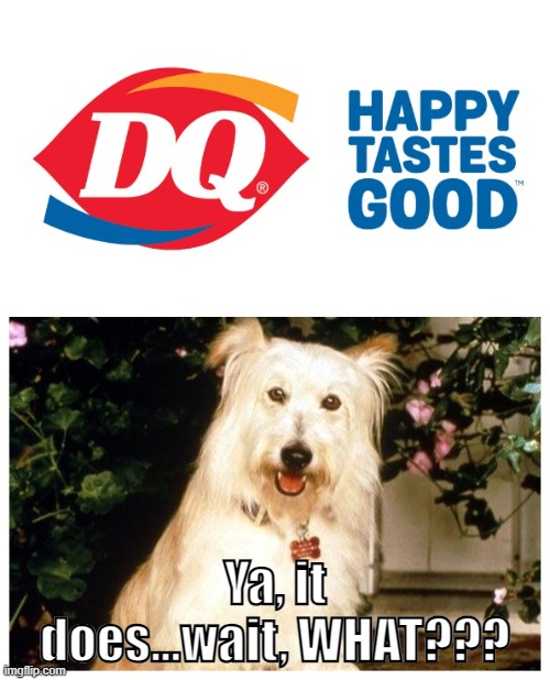 Happy Tastes Good | Ya, it does...wait, WHAT??? | image tagged in dq,7thheaven,happythedog7thheaven | made w/ Imgflip meme maker