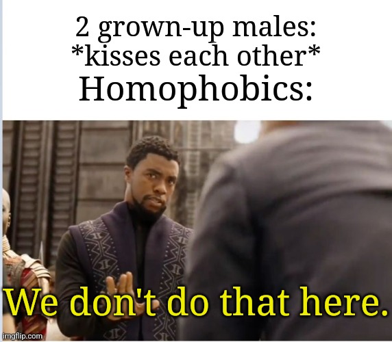 Thank goodness I'm not homophobic | 2 grown-up males: *kisses each other*; Homophobics:; We don't do that here. | image tagged in we don't do that here,memes,funny,why are you reading the tags | made w/ Imgflip meme maker