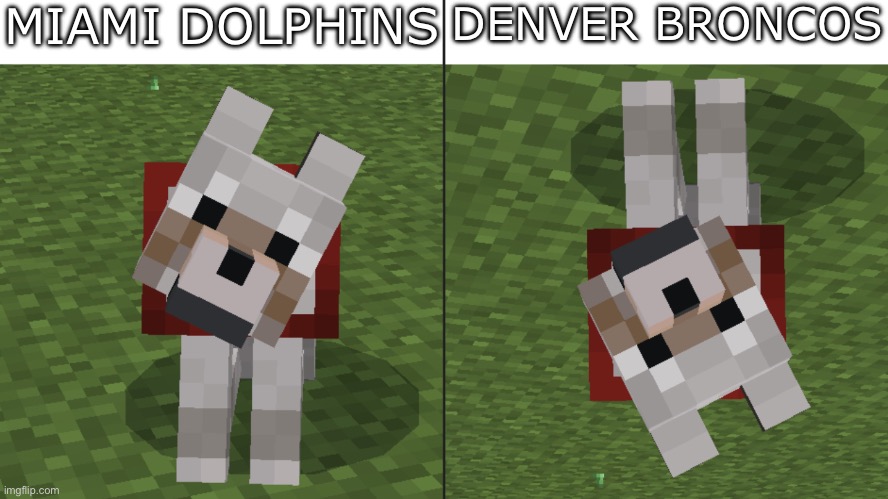 Football team comparison | MIAMI DOLPHINS; DENVER BRONCOS | image tagged in minecraft dog comparison,funny memes | made w/ Imgflip meme maker