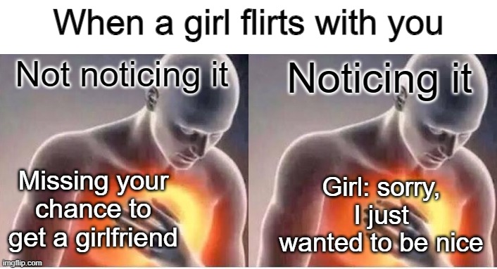 Can girls just be more obvious?! | When a girl flirts with you; Not noticing it; Noticing it; Missing your chance to get a girlfriend; Girl: sorry, I just wanted to be nice | image tagged in chest pain,girls,chance,like that's ever gonna happen,signs,what | made w/ Imgflip meme maker