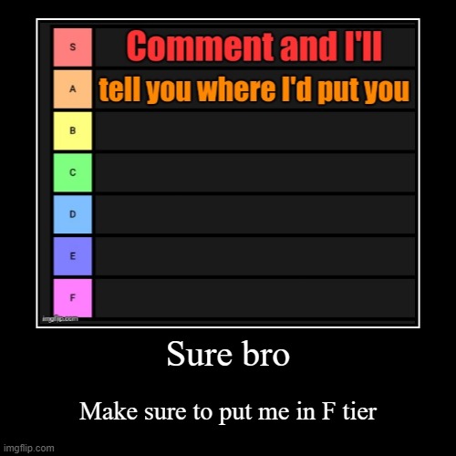 Sure bro | Make sure to put me in F tier | image tagged in funny,demotivationals | made w/ Imgflip demotivational maker