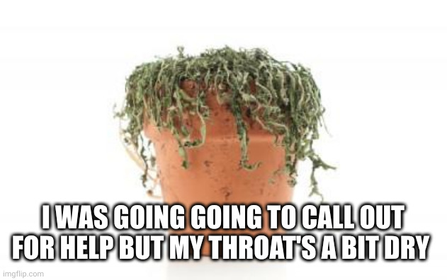 dead plant | I WAS GOING GOING TO CALL OUT FOR HELP BUT MY THROAT'S A BIT DRY | image tagged in dead plant | made w/ Imgflip meme maker