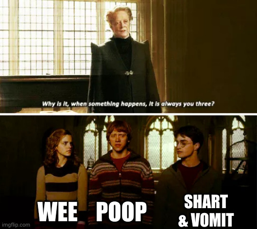 Always you three | WEE POOP SHART & VOMIT | image tagged in always you three | made w/ Imgflip meme maker