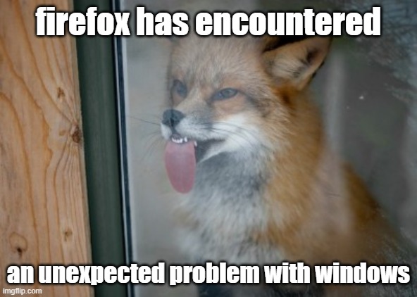 fox licking window | firefox has encountered; an unexpected problem with windows | image tagged in fox licking window | made w/ Imgflip meme maker