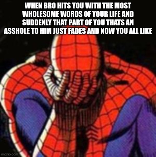 .. | WHEN BRO HITS YOU WITH THE MOST WHOLESOME WORDS OF YOUR LIFE AND SUDDENLY THAT PART OF YOU THATS AN ASSHOLE TO HIM JUST FADES AND NOW YOU ALL LIKE | image tagged in memes,sad spiderman,spiderman | made w/ Imgflip meme maker