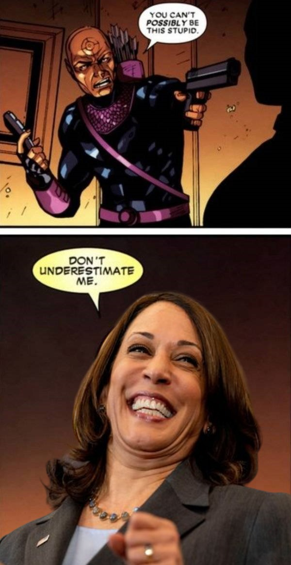 that stupid Blank Meme Template