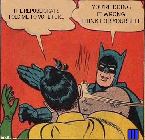 Batman Slapping Robin | YOU'RE DOING IT WRONG! THINK FOR YOURSELF! THE REPUBLICRATS TOLD ME TO VOTE FOR... III | image tagged in memes,batman slapping robin | made w/ Imgflip meme maker