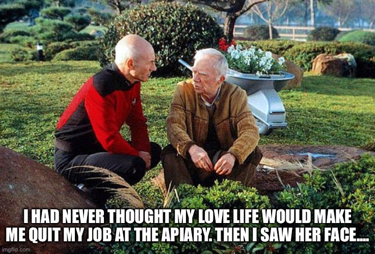 Apiary | I HAD NEVER THOUGHT MY LOVE LIFE WOULD MAKE ME QUIT MY JOB AT THE APIARY. THEN I SAW HER FACE.... | image tagged in picard and boothby squatting,picard | made w/ Imgflip meme maker