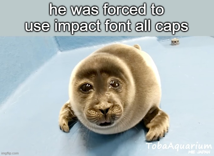 Crying Seal | he was forced to use impact font all caps | image tagged in crying seal | made w/ Imgflip meme maker