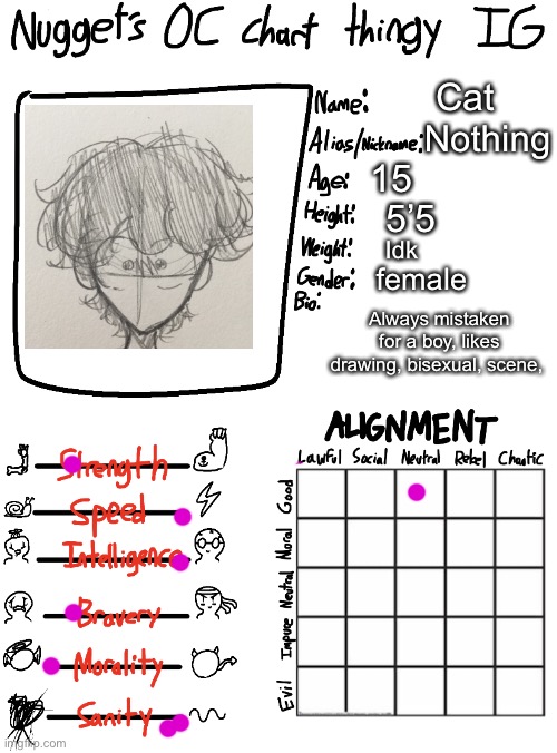 Nugget’s OC Chart Thingy IG | Cat; Nothing; 15; 5’5; Idk; female; Always mistaken for a boy, likes drawing, bisexual, scene, | image tagged in nugget s oc chart thingy ig | made w/ Imgflip meme maker