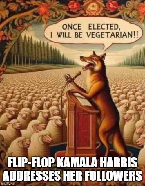 Kamala Harris and Liberal Sheeple | FLIP-FLOP KAMALA HARRIS ADDRESSES HER FOLLOWERS | image tagged in kamala harris,stupid sheep | made w/ Imgflip meme maker