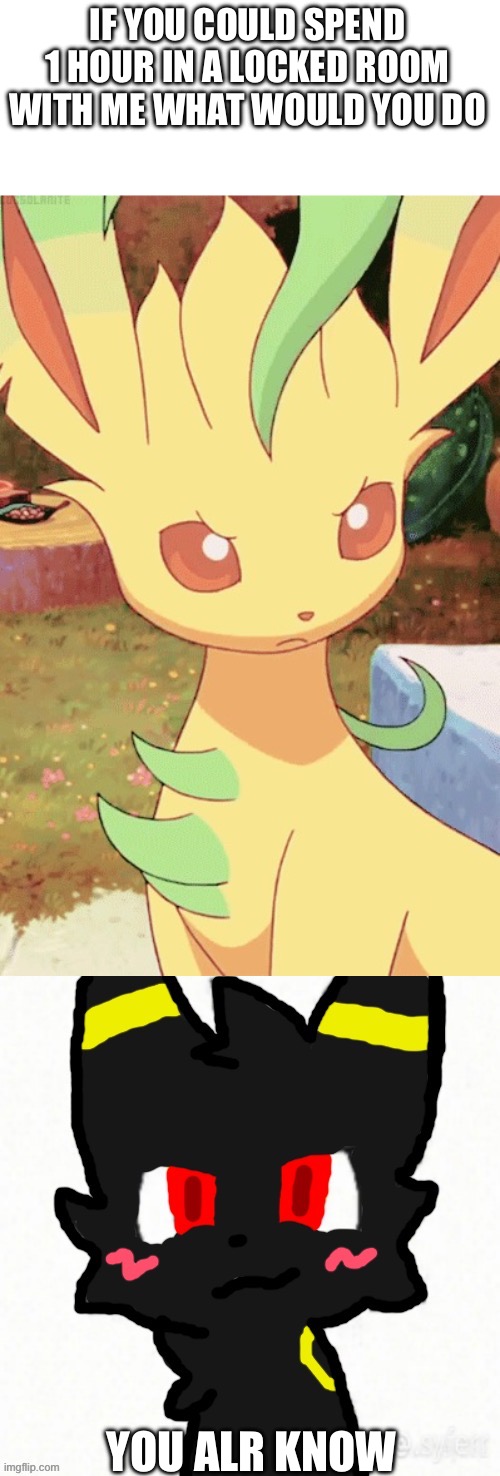 AH | IF YOU COULD SPEND 1 HOUR IN A LOCKED ROOM WITH ME WHAT WOULD YOU DO; YOU ALR KNOW | image tagged in angry leafeon,boy kisser but it's umbreon | made w/ Imgflip meme maker