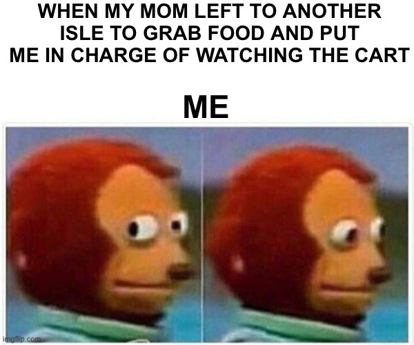 Monkey Puppet Meme | WHEN MY MOM LEFT TO ANOTHER ISLE TO GRAB FOOD AND PUT ME IN CHARGE OF WATCHING THE CART; ME | image tagged in memes,monkey puppet,relatable | made w/ Imgflip meme maker