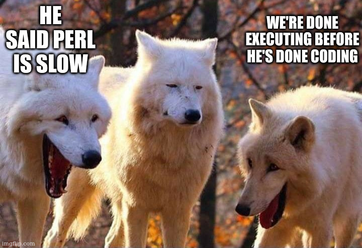 Laughing wolf | HE SAID PERL IS SLOW; WE'RE DONE EXECUTING BEFORE HE'S DONE CODING | image tagged in laughing wolf | made w/ Imgflip meme maker