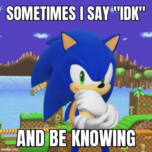 sometimes i say idk and be knowing | image tagged in sonic the hedgehog | made w/ Imgflip meme maker