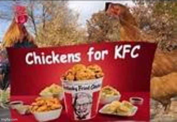 Chickens for KFC | image tagged in chickens for kfc | made w/ Imgflip meme maker