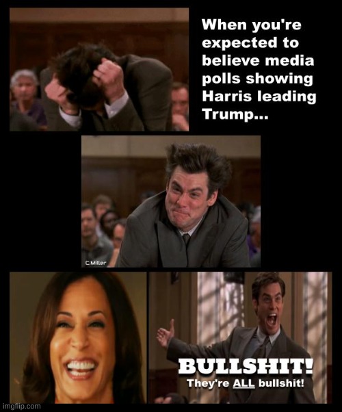 Democrats & their state-run media propagandists are the biggest purveyors of mass disinformation & misinformation there are. | image tagged in kamala harris,democrat corruption,democrats,polls,politics | made w/ Imgflip meme maker