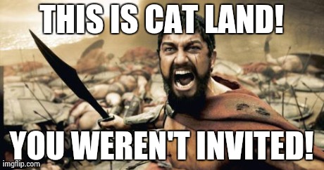 Sparta Leonidas Meme | THIS IS CAT LAND! YOU WEREN'T INVITED! | image tagged in memes,sparta leonidas | made w/ Imgflip meme maker