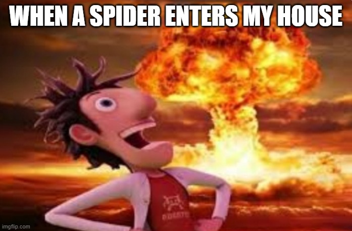 Flint Lockwood explosion | WHEN A SPIDER ENTERS MY HOUSE | image tagged in flint lockwood explosion | made w/ Imgflip meme maker