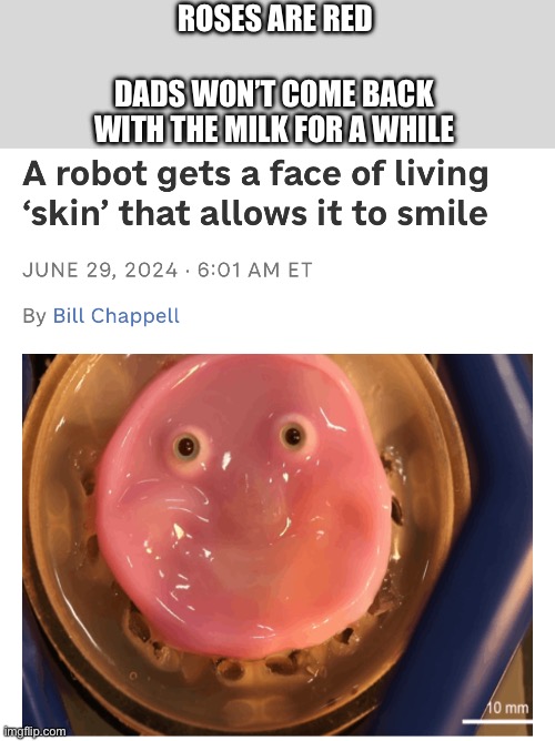 WTH | DADS WON’T COME BACK WITH THE MILK FOR A WHILE; ROSES ARE RED | image tagged in uhm,what,memes,lmao | made w/ Imgflip meme maker