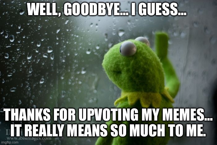 My final meme (goodbye imgflip, for now…) | WELL, GOODBYE… I GUESS…; THANKS FOR UPVOTING MY MEMES… IT REALLY MEANS SO MUCH TO ME. | image tagged in kermit window,its finally over,goodbye | made w/ Imgflip meme maker