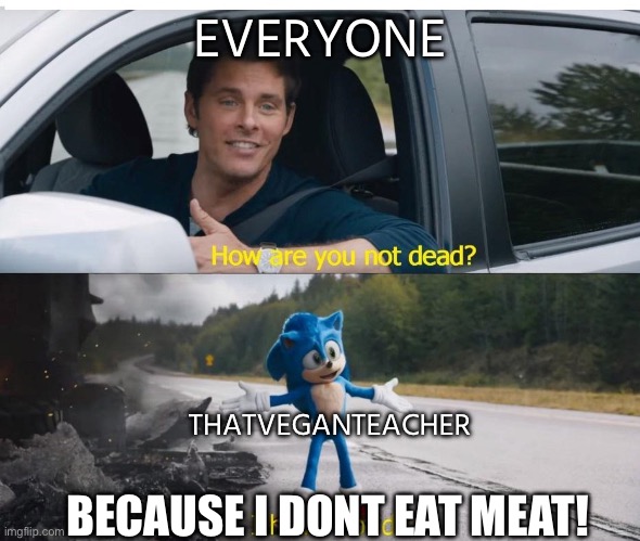 All of my friends wish she was dead | EVERYONE; THATVEGANTEACHER; BECAUSE I DONT EAT MEAT! | image tagged in sonic how are you not dead,dead,death,die,please just die lady,thatveganteacher | made w/ Imgflip meme maker