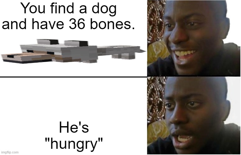 Bro still owes me 8 bones | You find a dog and have 36 bones. He's "hungry" | image tagged in disappointed black guy | made w/ Imgflip meme maker