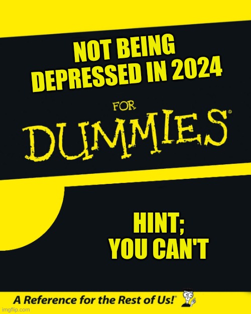 For Dummies | NOT BEING DEPRESSED IN 2024; HINT; YOU CAN'T | image tagged in for dummies,sadness | made w/ Imgflip meme maker