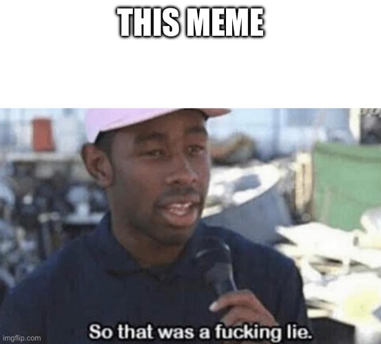 So that was a fucking lie | THIS MEME | image tagged in so that was a fucking lie | made w/ Imgflip meme maker