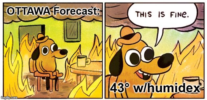 Ottawa Forecast | OTTAWA Forecast:; 43° w/humidex | image tagged in memes,this is fine,ottawa weather,global warming | made w/ Imgflip meme maker