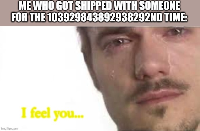 I feel you bro... | ME WHO GOT SHIPPED WITH SOMEONE FOR THE 103929843892938292ND TIME: | image tagged in i feel you bro | made w/ Imgflip meme maker