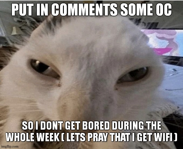 1 week is gonna be long [:) | PUT IN COMMENTS SOME OC; SO I DONT GET BORED DURING THE WHOLE WEEK ( LETS PRAY THAT I GET WIFI ) | made w/ Imgflip meme maker