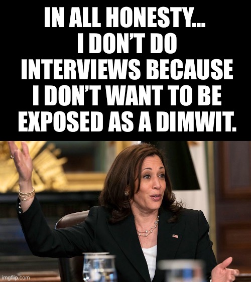 Lol… Even Biden did interviews! | IN ALL HONESTY… 
I DON’T DO INTERVIEWS BECAUSE I DON’T WANT TO BE EXPOSED AS A DIMWIT. | image tagged in kamala explains,i do not do interviews because i am a dimwit | made w/ Imgflip meme maker