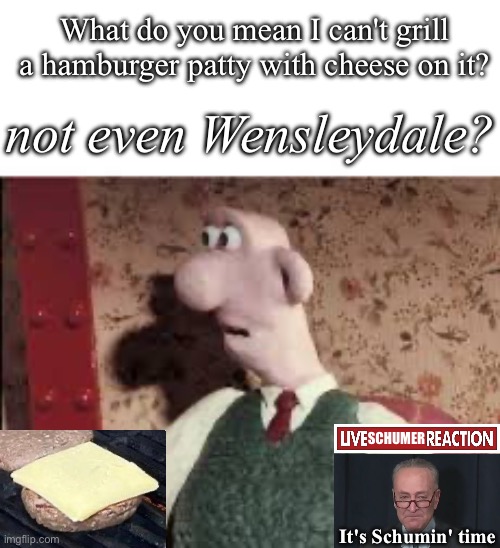 Surprised Wallace | What do you mean I can't grill a hamburger patty with cheese on it? not even Wensleydale? SCHUMER It's Schumin' time | image tagged in surprised wallace | made w/ Imgflip meme maker