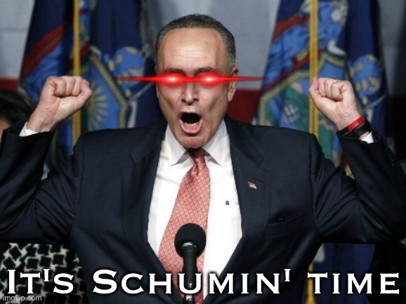 i don't even like the guy but the meme was too good to resist | It's Schumin' time | image tagged in angry chuck schumer yelling | made w/ Imgflip meme maker