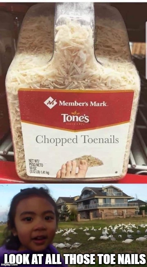 Toenails | LOOK AT ALL THOSE TOE NAILS | image tagged in look at all those chickens | made w/ Imgflip meme maker