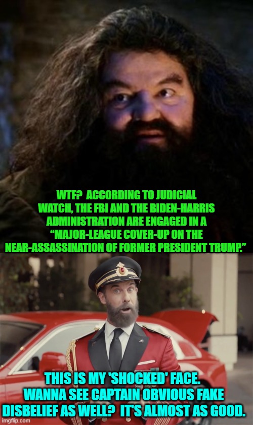 Seriously -- aside form leftists -- could anyone possibly be surprised about this? | WTF?  ACCORDING TO JUDICIAL WATCH, THE FBI AND THE BIDEN-HARRIS ADMINISTRATION ARE ENGAGED IN A “MAJOR-LEAGUE COVER-UP ON THE NEAR-ASSASSINATION OF FORMER PRESIDENT TRUMP.”; THIS IS MY 'SHOCKED' FACE.  WANNA SEE CAPTAIN OBVIOUS FAKE DISBELIEF AS WELL?  IT'S ALMOST AS GOOD. | image tagged in yep | made w/ Imgflip meme maker