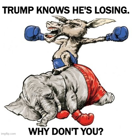 TRUMP KNOWS HE'S LOSING. WHY DON'T YOU? | image tagged in democrats,kamala harris,winners,republicans,trump,losers | made w/ Imgflip meme maker