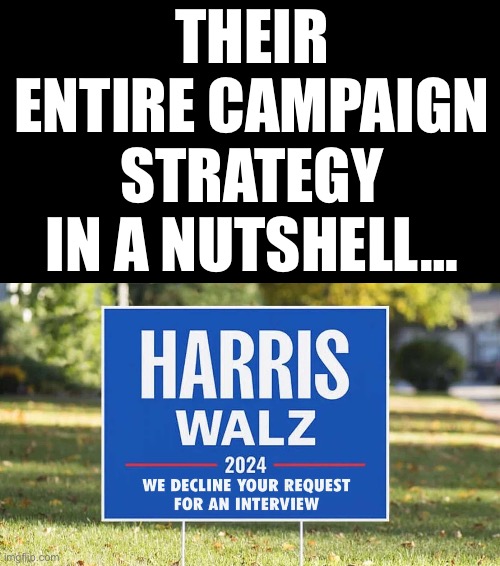 They are hiding like the cowards they are. | THEIR ENTIRE CAMPAIGN STRATEGY IN A NUTSHELL… | image tagged in harris walz decline your request for an interview | made w/ Imgflip meme maker