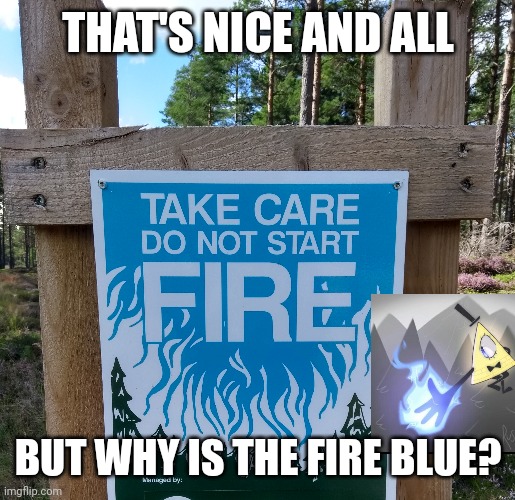 Blue fire (my image) | THAT'S NICE AND ALL; BUT WHY IS THE FIRE BLUE? | image tagged in gravity falls,gravity falls meme | made w/ Imgflip meme maker