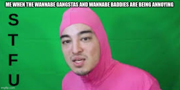 they need to STFU | ME WHEN THE WANNABE GANGSTAS AND WANNABE BADDIES ARE BEING ANNOYING | image tagged in pink guy stfu,stfu,meme,random tag | made w/ Imgflip meme maker