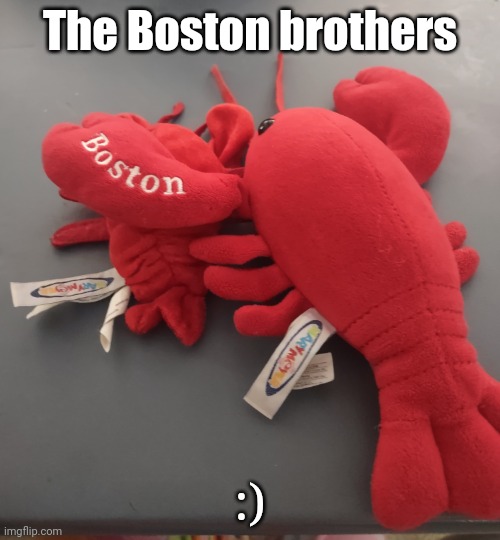 Yes, I do have two lobster plushies, although the other is more of a puppet... | The Boston brothers; :) | image tagged in lobster plushie | made w/ Imgflip meme maker