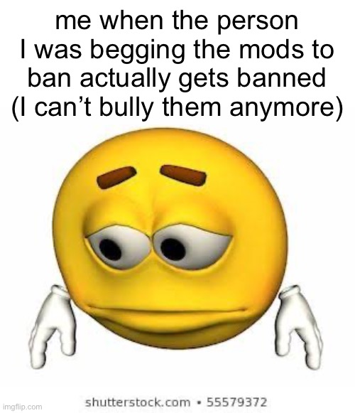 Sad stock emoji | me when the person I was begging the mods to ban actually gets banned (I can’t bully them anymore) | image tagged in sad stock emoji | made w/ Imgflip meme maker