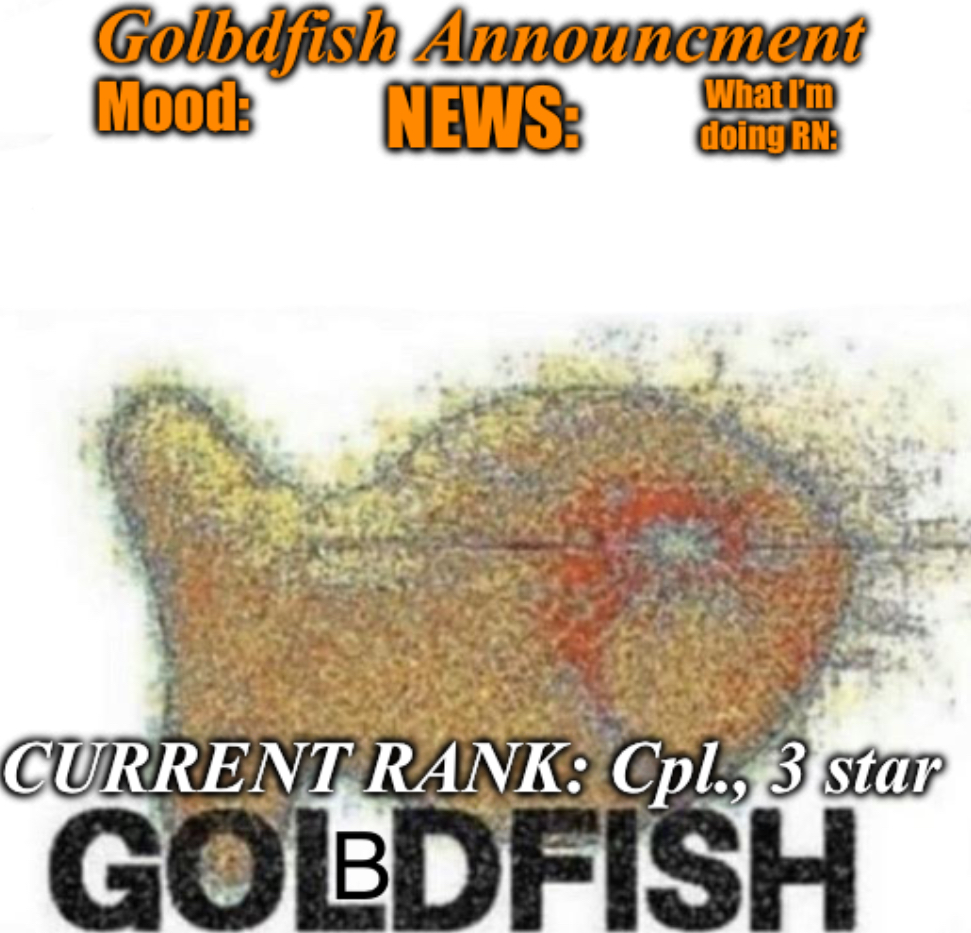 High Quality Golbdfish Announcment Blank Meme Template