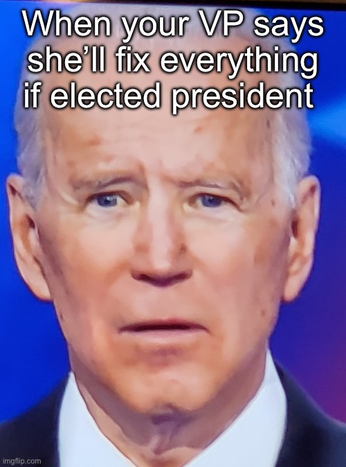 But Joe did such a great job | When your VP says she’ll fix everything if elected president | image tagged in joe biden eye,politics lol,memes,derp | made w/ Imgflip meme maker